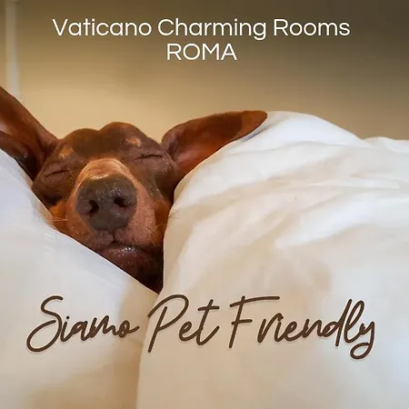 Vaticano Charming Bed & Breakfast 4*