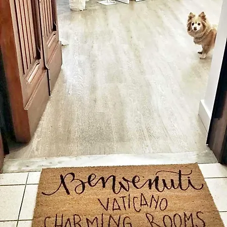 Vaticano Charming Bed & Breakfast Rome