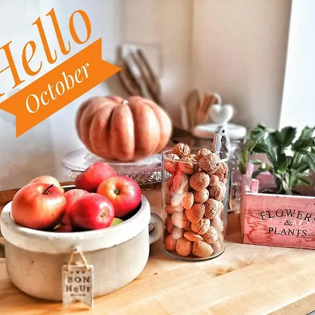 Vaticano Charming فندق مبيت وإفطار روما